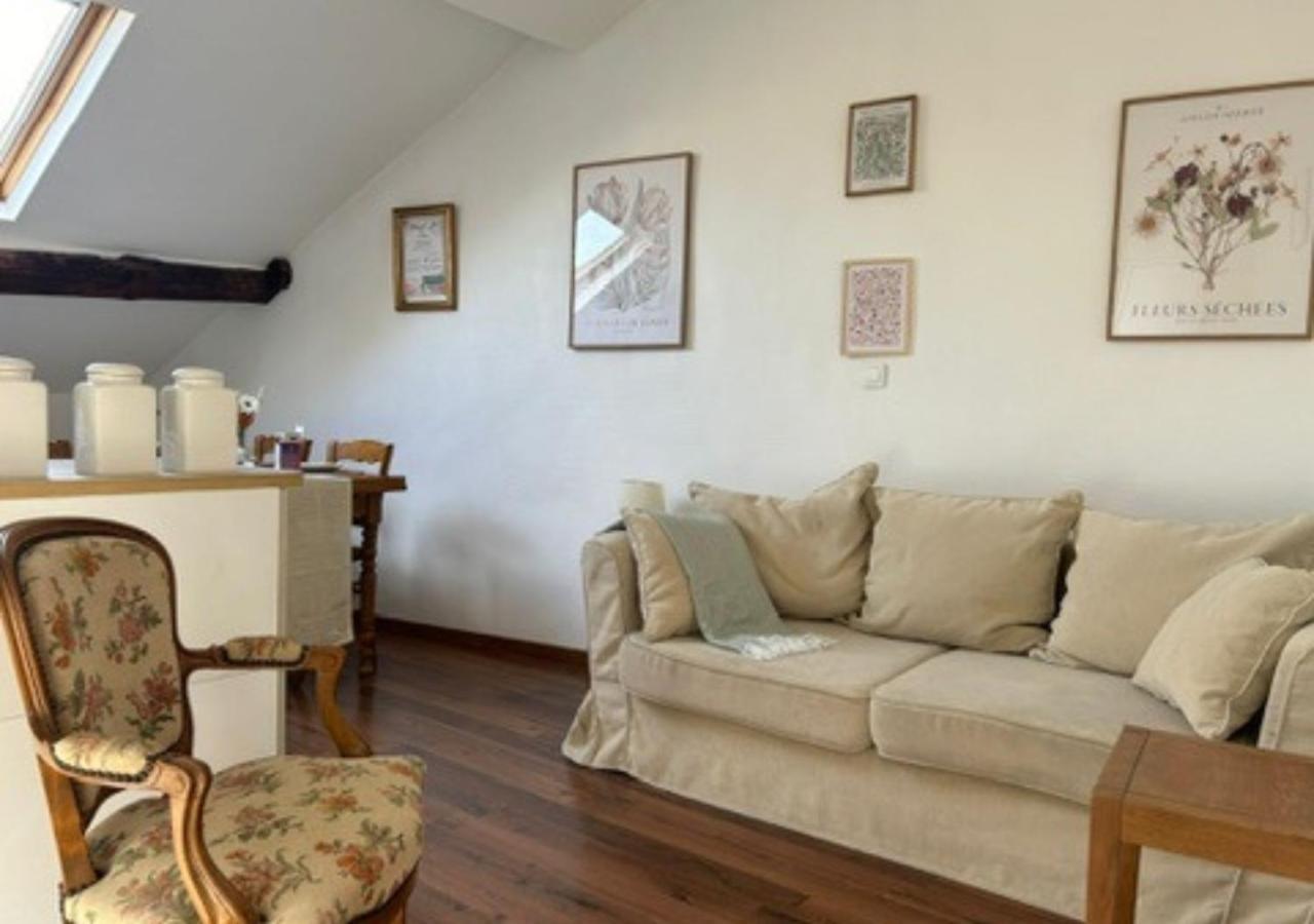Le Fleuri - Reims - Wifi Gratuit - Quartier Calme Apartman Kültér fotó